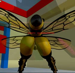 Bee dancing to monstersorgme.'