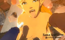 Zelda hentai'
